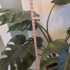 モンステラ リアルな人工観葉植物約100cmとウッドチップ鉢カバー セットの画像