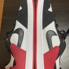 NIKE SB ALLEYOOP 28.5cmの画像