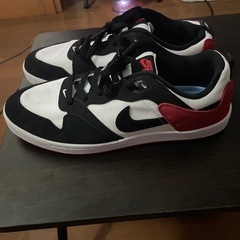 NIKE SB ALLEYOOP 28.5cmの画像