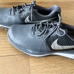 ゴルフシューズ NIKE ルナコントロール グレーの画像