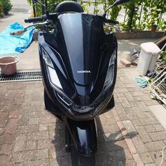pcx125cc速いかっこいいの画像