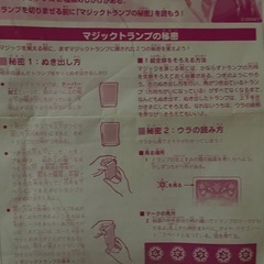 夏休み　マジック　アナ雪の画像