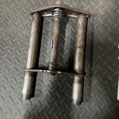 ダックス　モンキー　ゴリラ　シャリーの画像