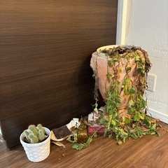 鉢植えセットの画像