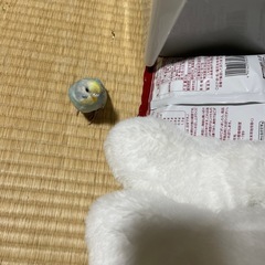 ぬいぐるみうさこの画像
