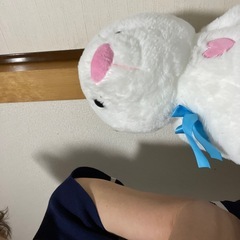 ぬいぐるみうさこの画像