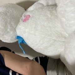 ぬいぐるみうさこの画像