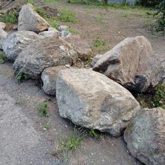 各種の画像