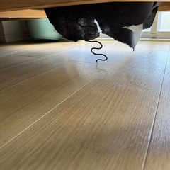 無料✨ニトリ ダイニングテーブル＆L字ソファセット（70×120）美品＆大型！の画像