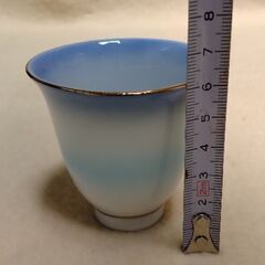 翠泉 青い風 冷酒揃(盆とカップのみ)の画像