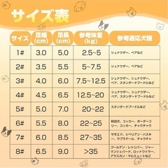 ペット用　サンダル　散歩の画像