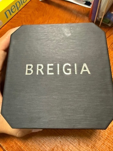 BALENCIAGA ﾊﾞﾚﾝｼｱｶﾞApplewatch 44mm用ケース