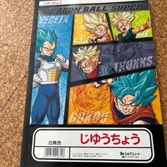 未使用品 学習帳セット9冊 の画像