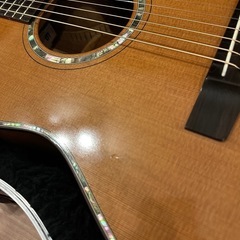 【最終値下げ】Morris MT-3201【アコースティックギター】の画像