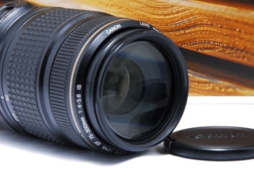 Canon純正 75-300mm 望遠レンズ 美品 a2947 【公式通販】