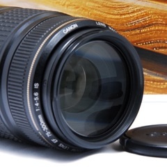 美品 Canon EF 75-300mm IS USM☆超望遠レンズ☆人気望遠！の画像