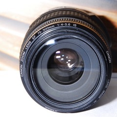 美品 Canon EF 75-300mm IS USM☆超望遠レンズ☆人気望遠！の画像