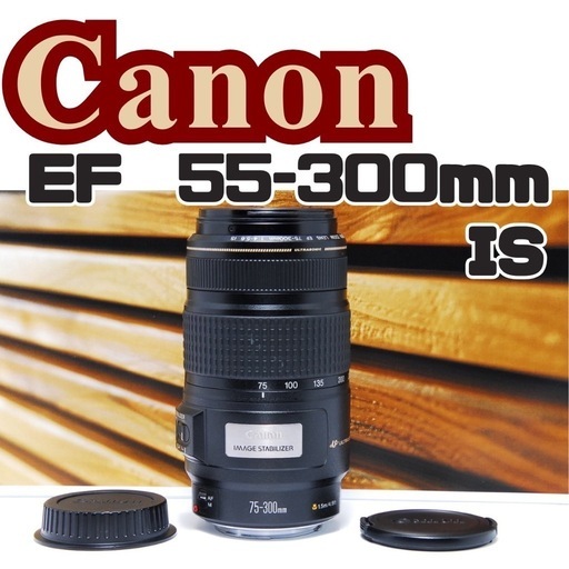CANON 75 300 3 USM 送料無料 71uQXUIxV4L._UF1000,1000_QL80_.jpg