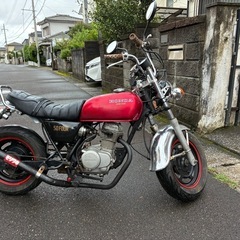 エイプ50の画像