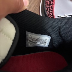 NIKE ジョーダン 26センチの画像