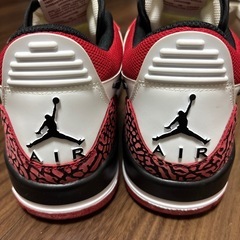 NIKE ジョーダン 26センチの画像