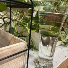 ビアグラス（5つ）の画像