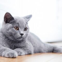 ✨長く続く友達✨✨結成1年の女子会🐱