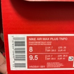 NIKE AIR MAX TNPO 26センチの画像