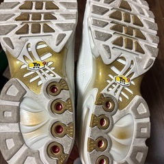 NIKE AIR MAX TNPO 26センチの画像