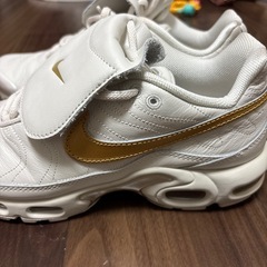 NIKE AIR MAX TNPO 26センチの画像