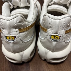 NIKE AIR MAX TNPO 26センチの画像