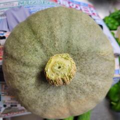 カボチヤ(夢味)1530g無農薬の画像