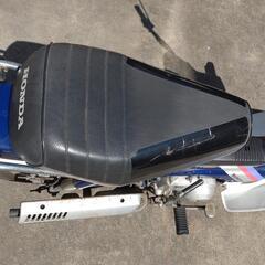 HONDAシャリー CF50の画像