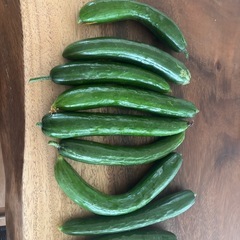 おいしい野菜🥒きゅうり🥒の画像