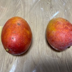 食べ頃マンゴーの画像