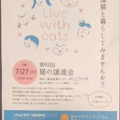 ７月２７日に福山で保護猫の譲渡会