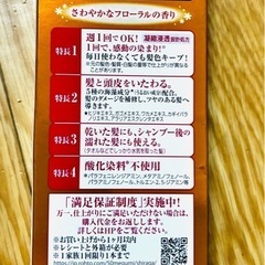 【未使用】50の恵　頭皮いたわるカラートリートメントの画像