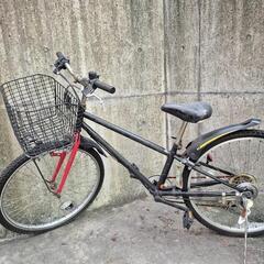 黒い自転車　決まりました。の画像