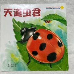 石井式漢字絵本の画像