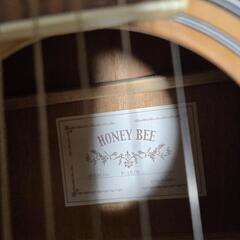 ギター（honey  bee）の画像