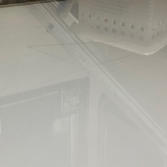 ローテーブルの画像