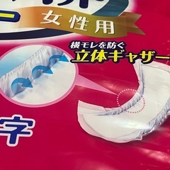 サルバ尿とりパッド女性用20〜47㎝の画像