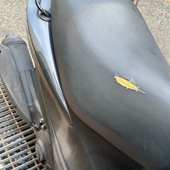 SUZUKI アドレスV125S 車体
の画像
