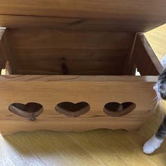 【お取引き中】カントリーBOX