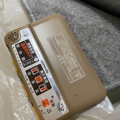 SHARPホットカーペット二畳サイズの画像