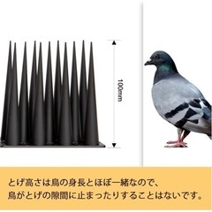 OFFO 鳥避け 鳩よけ とげ長め仕様 高さ10cmの画像