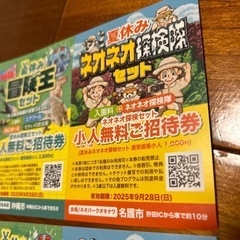 残り4枚早いもの順になります。東南植物楽園　ネオパークオキナワ　無料招待券の画像