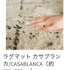 ラグ(7月までの出品)の画像