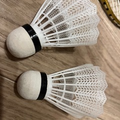 バトミントンラケット（袋無し）の画像