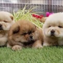 ❤️東北仲良し My Fam❤️